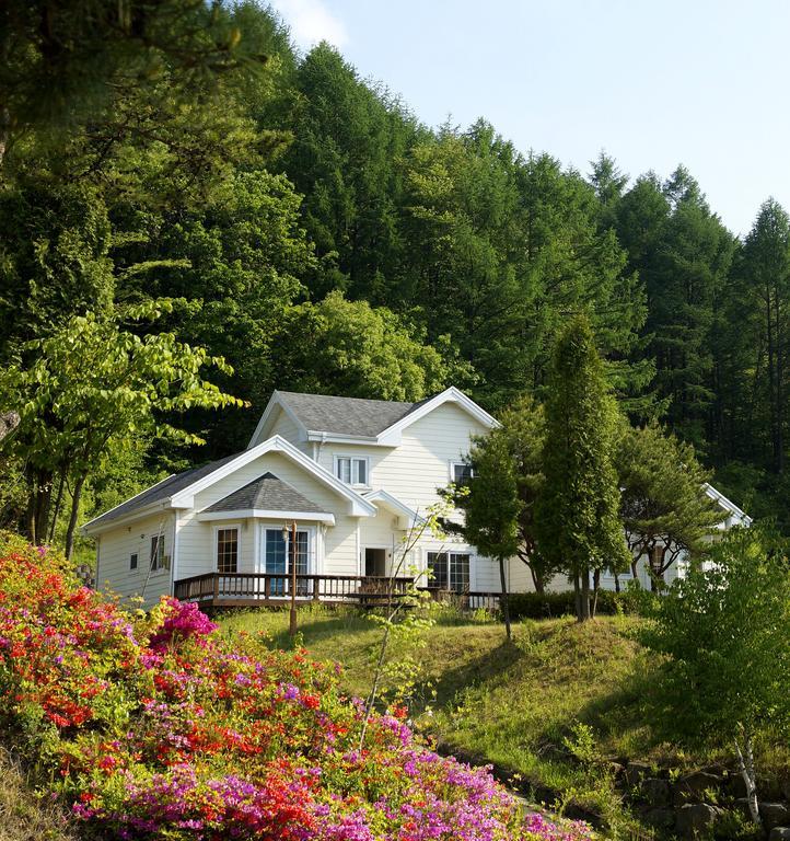 Resort Feliz Pyeongchang Exteriör bild